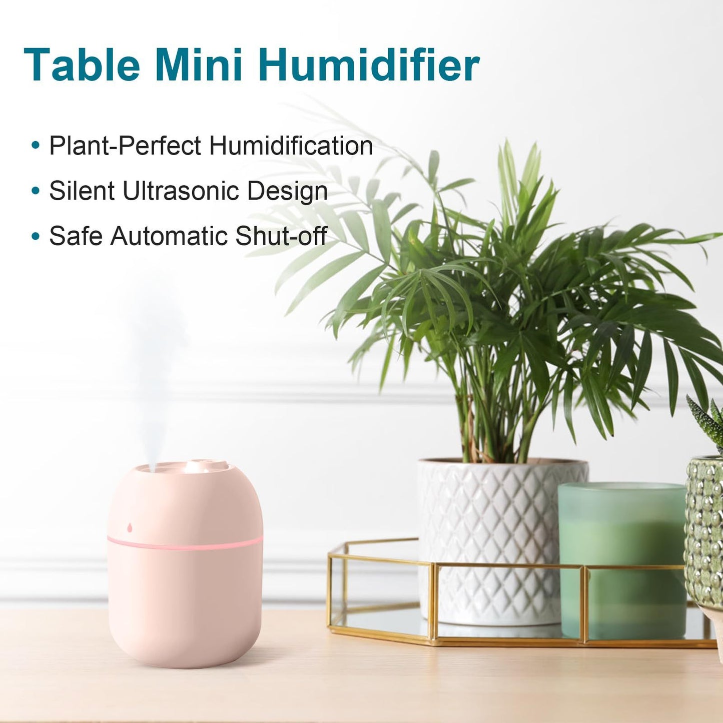 Portable Mini Humidifier